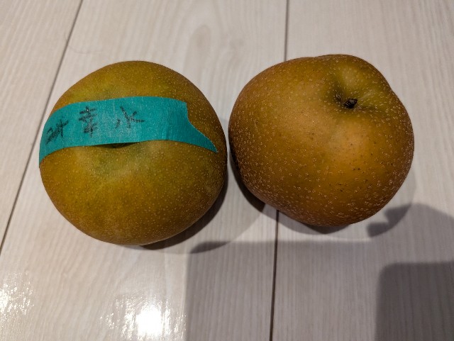 f:id:tetsuuma:20240918073647j:image