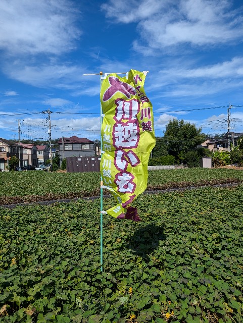 f:id:tetsuuma:20240920132723j:image