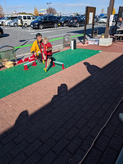 f:id:tetsuuma:20241213221404j:image
