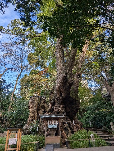 f:id:tetsuuma:20241220073749j:image