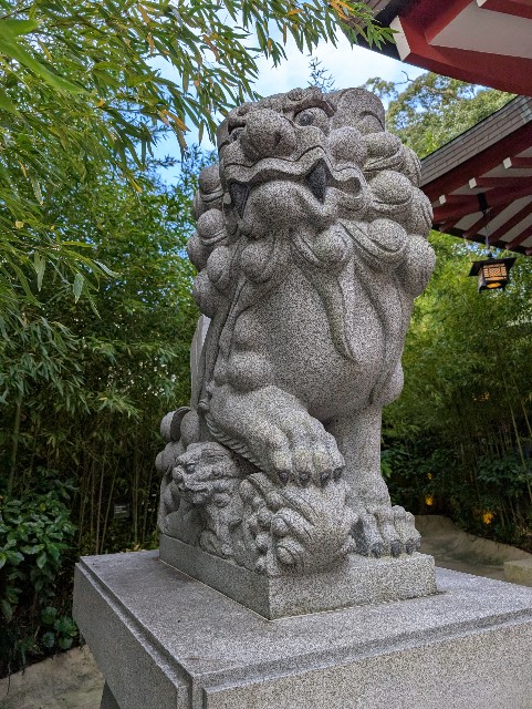 f:id:tetsuuma:20241220073905j:image
