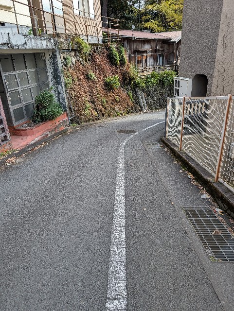 f:id:tetsuuma:20241220074615j:image