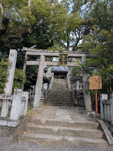 f:id:tetsuuma:20241220075006j:image f:id:tetsuuma:20241220075006j:image