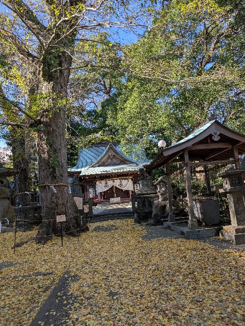 f:id:tetsuuma:20241222070419j:image