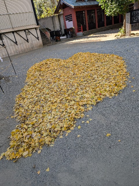 f:id:tetsuuma:20241222072538j:image