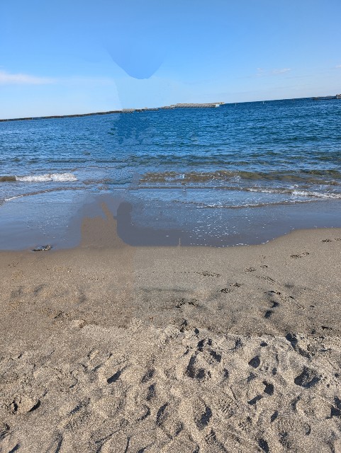 f:id:tetsuuma:20241228060427j:image f:id:tetsuuma:20241228060427j:image