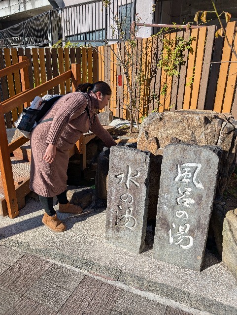 f:id:tetsuuma:20241228175347j:image