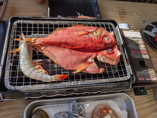 f:id:tetsuuma:20241231174445j:image
