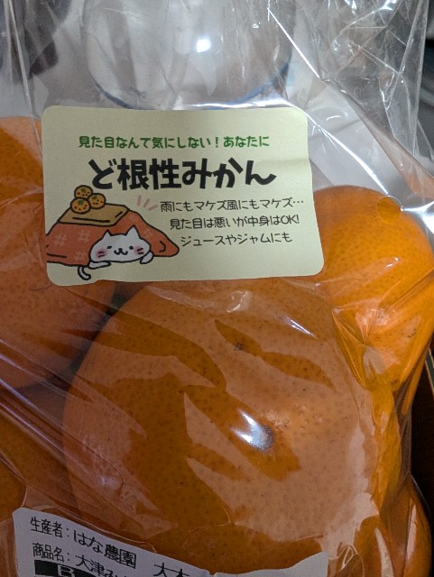f:id:tetsuuma:20250101164500j:image