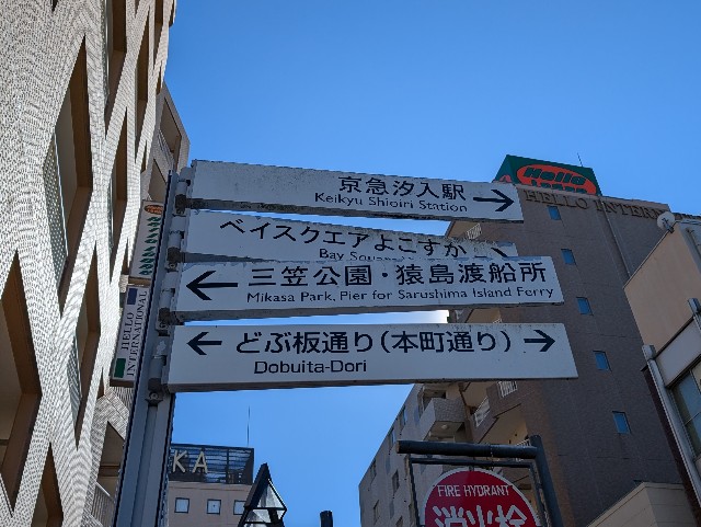 f:id:tetsuuma:20250205122357j:image f:id:tetsuuma:20250205122357j:image