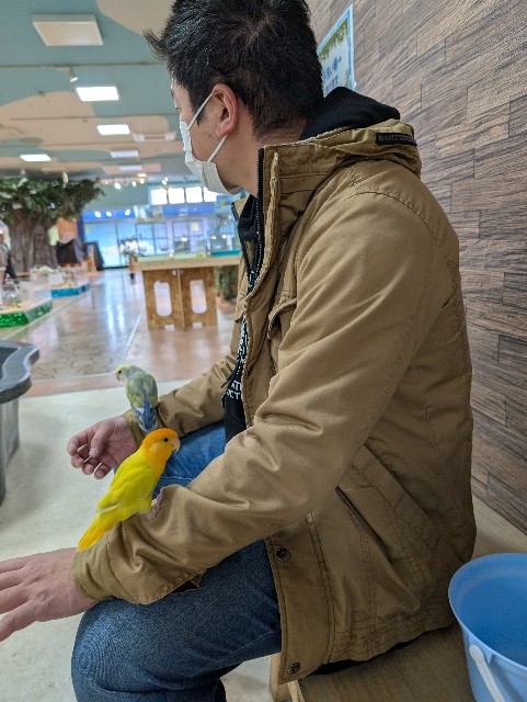 f:id:tetsuuma:20250214163649j:image