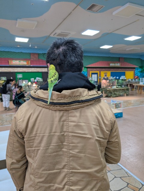 f:id:tetsuuma:20250214163850j:image