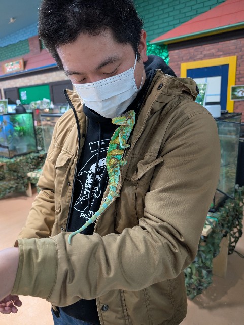f:id:tetsuuma:20250214163925j:image