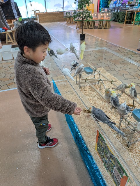 f:id:tetsuuma:20250214165508j:image