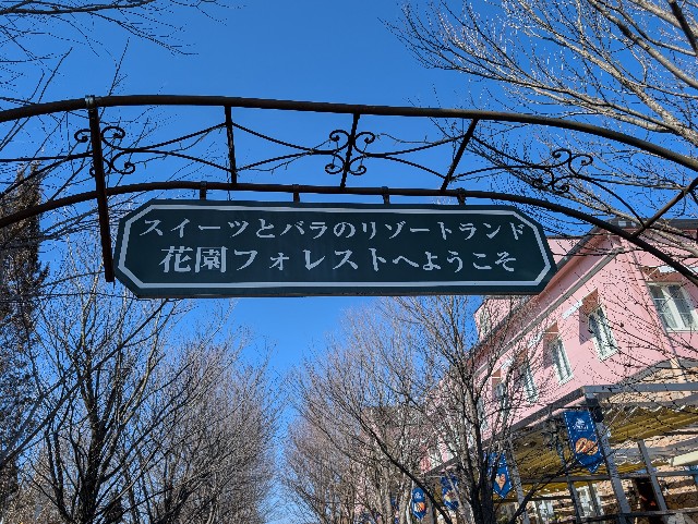 f:id:tetsuuma:20250219204757j:image f:id:tetsuuma:20250219204757j:image