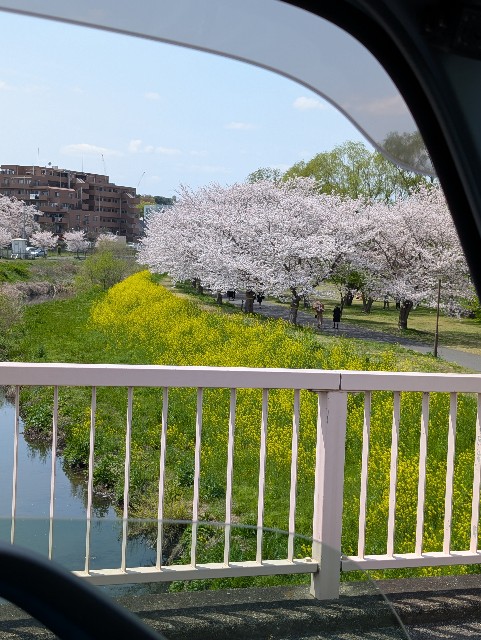 f:id:tetsuuma:20250409105732j:image