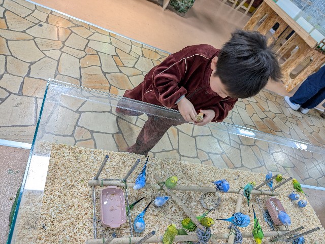 f:id:tetsuuma:20250416064153j:image f:id:tetsuuma:20250416064153j:image