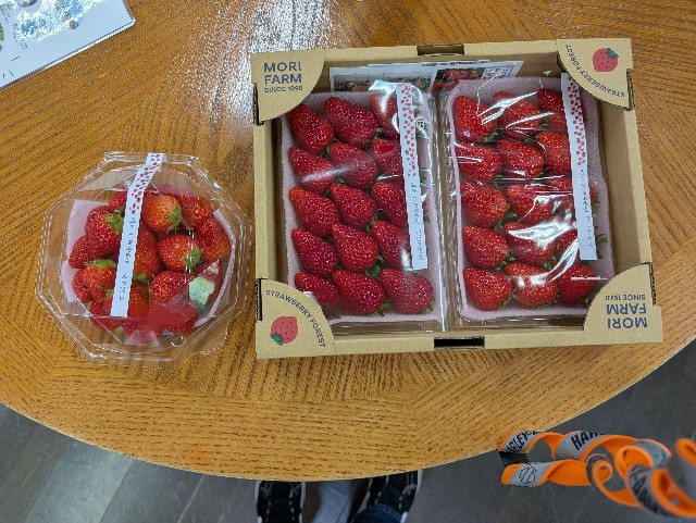 f:id:tetsuuma:20250430082948j:image