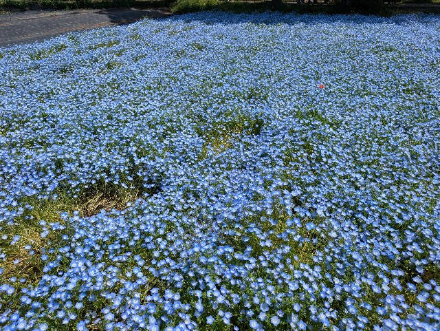 f:id:tetsuuma:20250430084103j:image