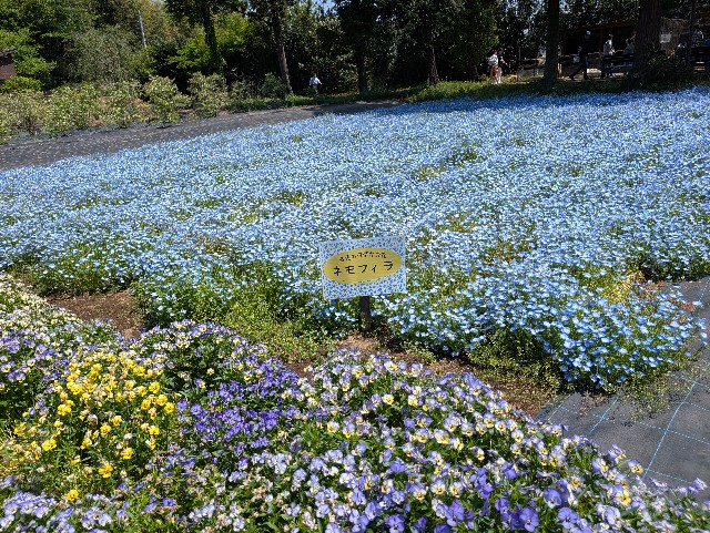 f:id:tetsuuma:20250430084224j:image f:id:tetsuuma:20250430084224j:image