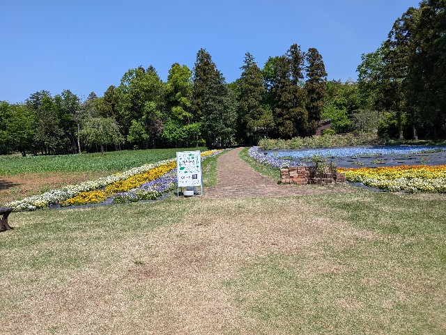 f:id:tetsuuma:20250502203754j:image