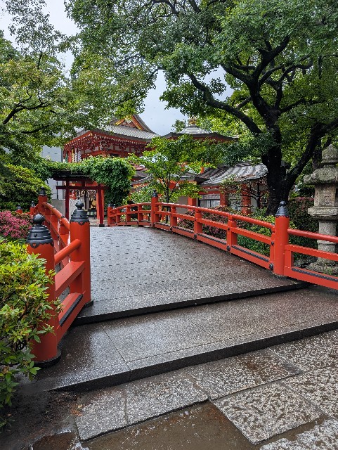 f:id:tetsuuma:20250527225948j:image f:id:tetsuuma:20250527225948j:image