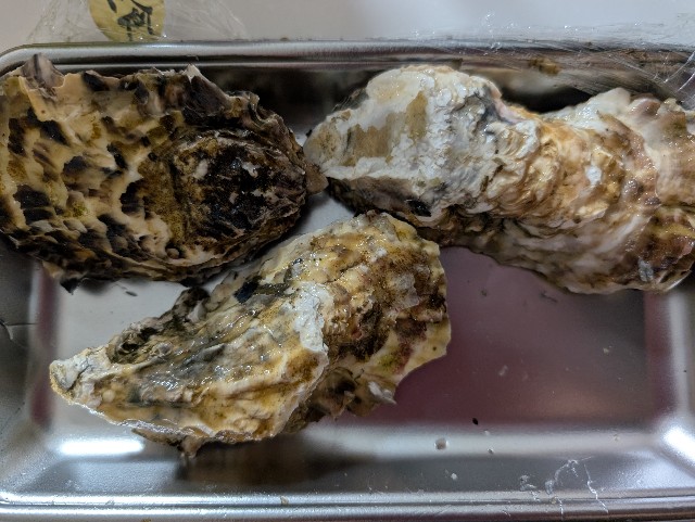 f:id:tetsuuma:20250530201909j:image