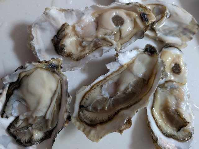 f:id:tetsuuma:20250530201924j:image