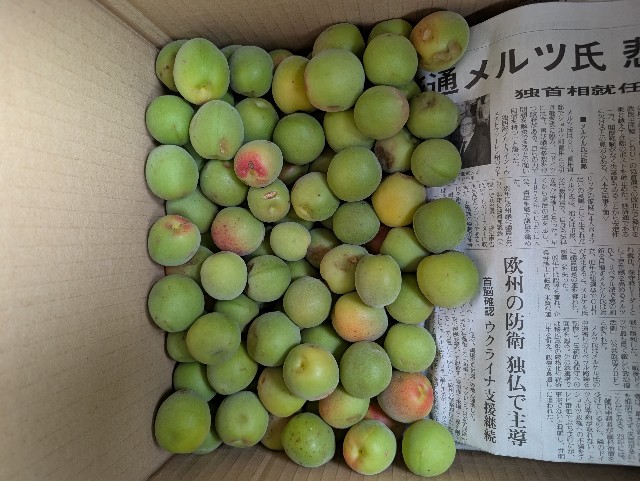 f:id:tetsuuma:20250611191651j:image