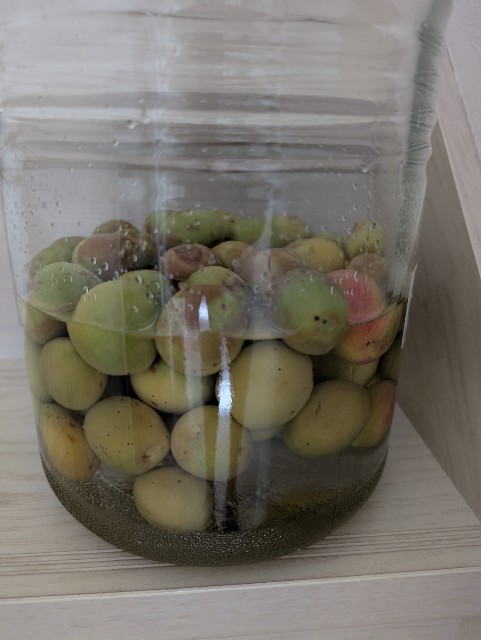f:id:tetsuuma:20250611191801j:image