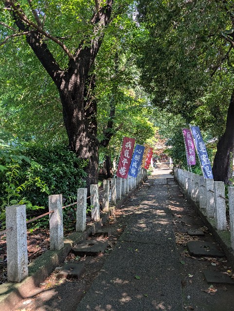 f:id:tetsuuma:20250626053828j:image
