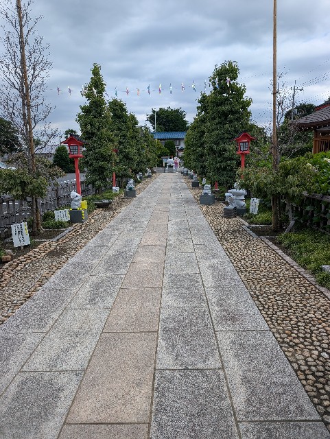 f:id:tetsuuma:20250627153727j:image