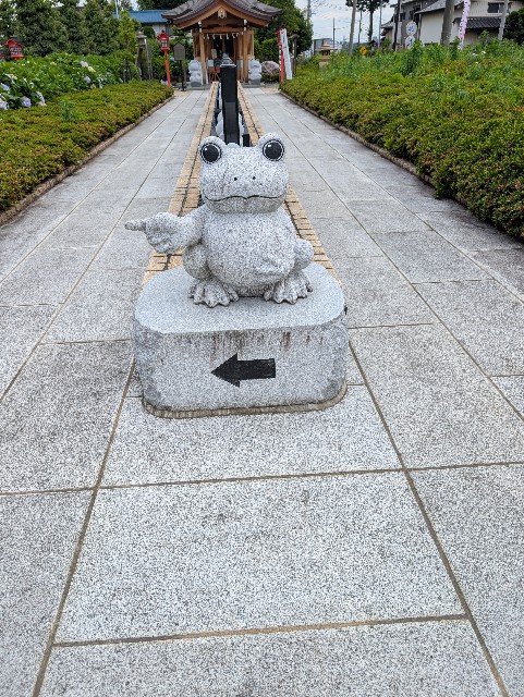f:id:tetsuuma:20250627153808j:image