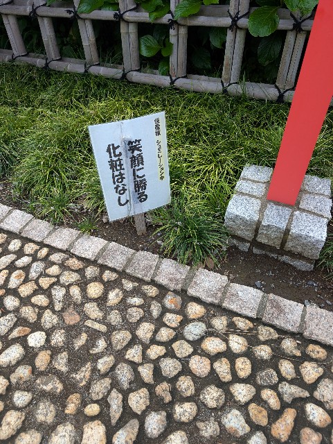 f:id:tetsuuma:20250629062400j:image f:id:tetsuuma:20250629062400j:image