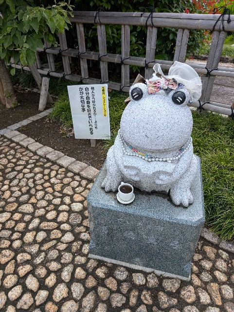 f:id:tetsuuma:20250629062420j:image