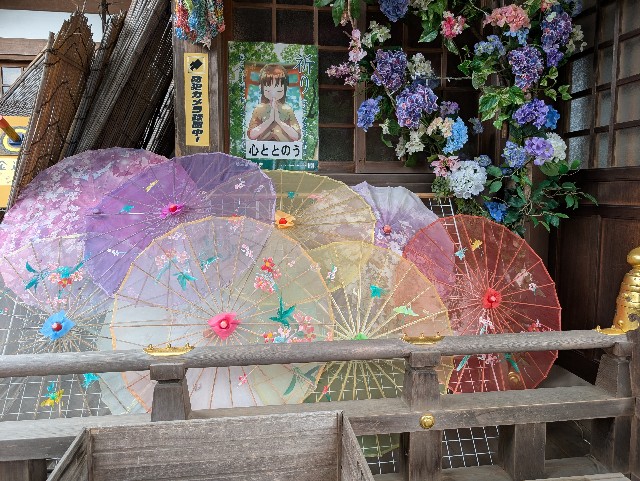 f:id:tetsuuma:20250629063419j:image