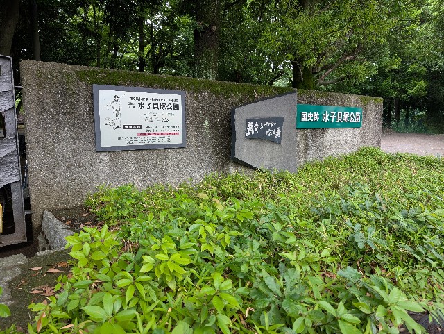 f:id:tetsuuma:20250629065005j:image f:id:tetsuuma:20250629065005j:image