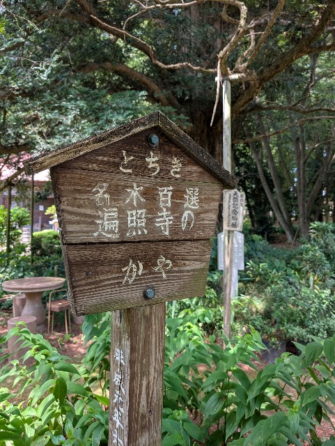 f:id:tetsuuma:20250816192256j:image
