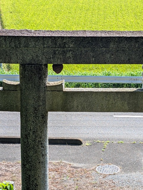f:id:tetsuuma:20250825194528j:image
