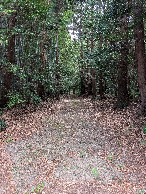 f:id:tetsuuma:20251011153226j:image