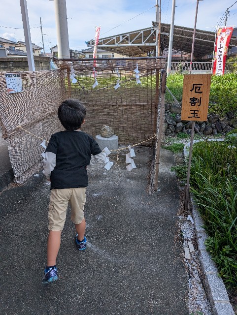 f:id:tetsuuma:20251117201249j:image f:id:tetsuuma:20251117201249j:image