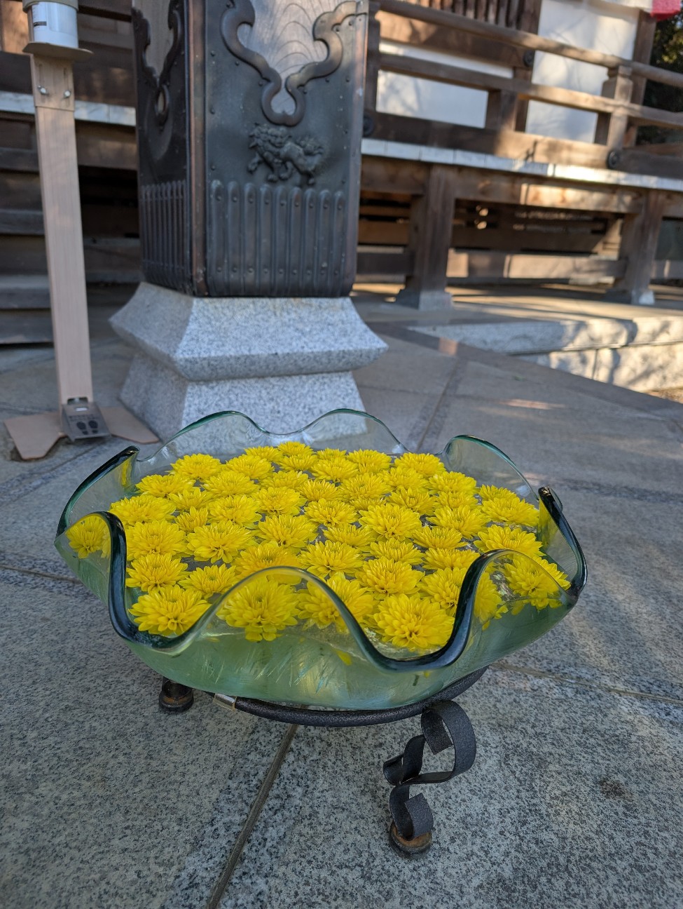 f:id:tetsuuma:20260126192121j:image