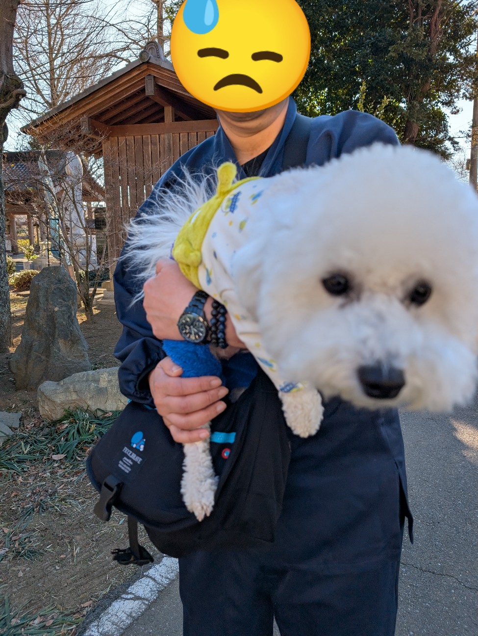 f:id:tetsuuma:20260126192955j:image