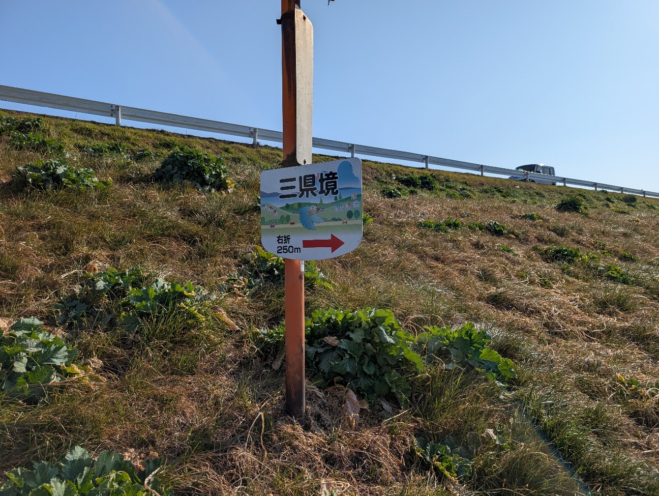 f:id:tetsuuma:20260224052933j:image