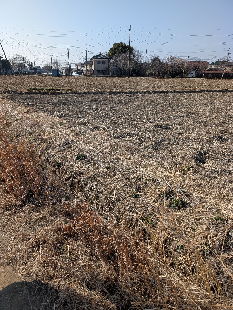 f:id:tetsuuma:20260224053006j:image