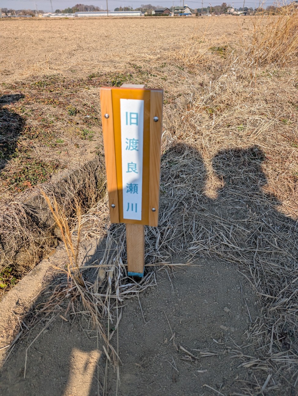 f:id:tetsuuma:20260224053419j:image