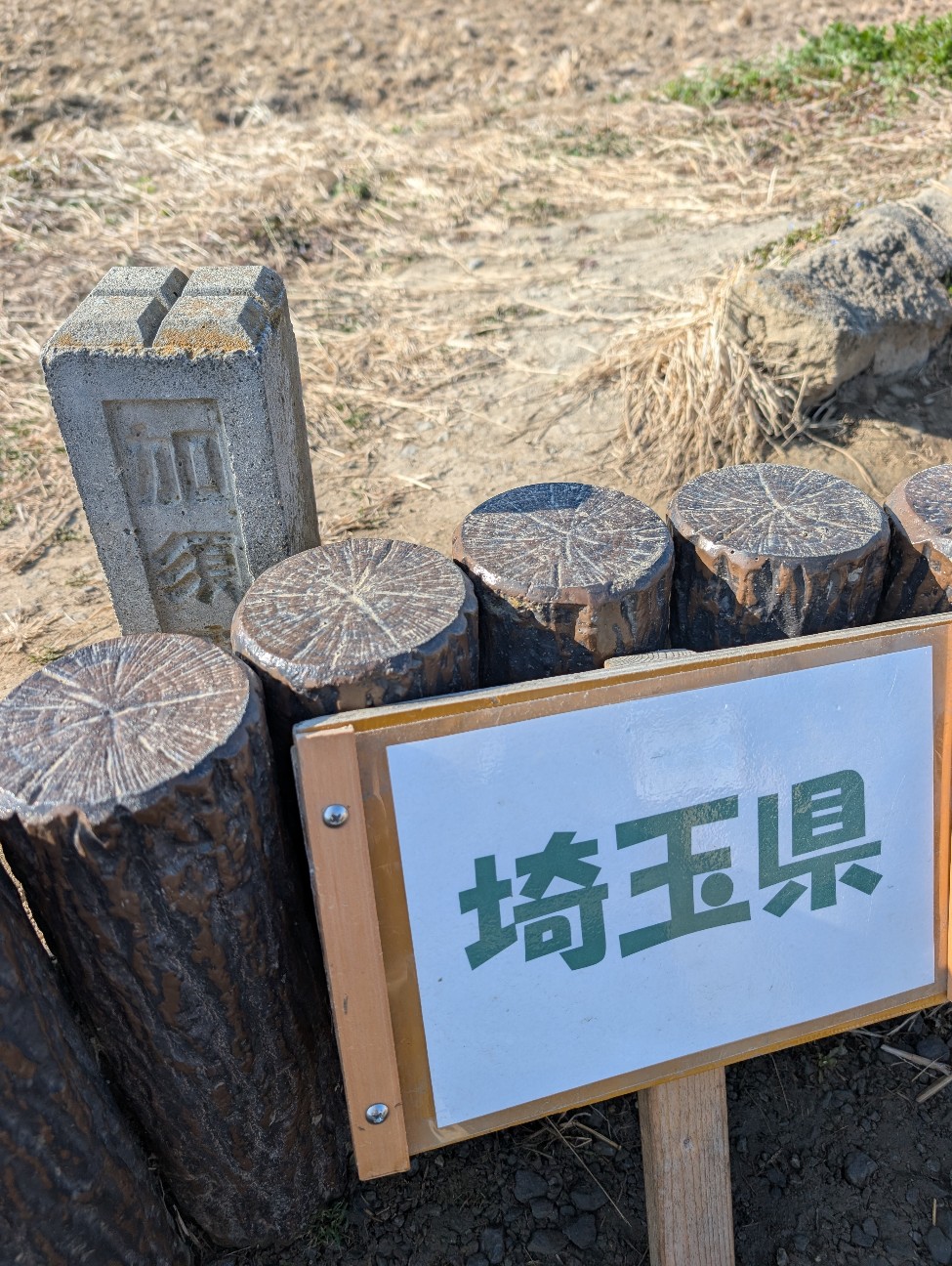 f:id:tetsuuma:20260224053450j:image