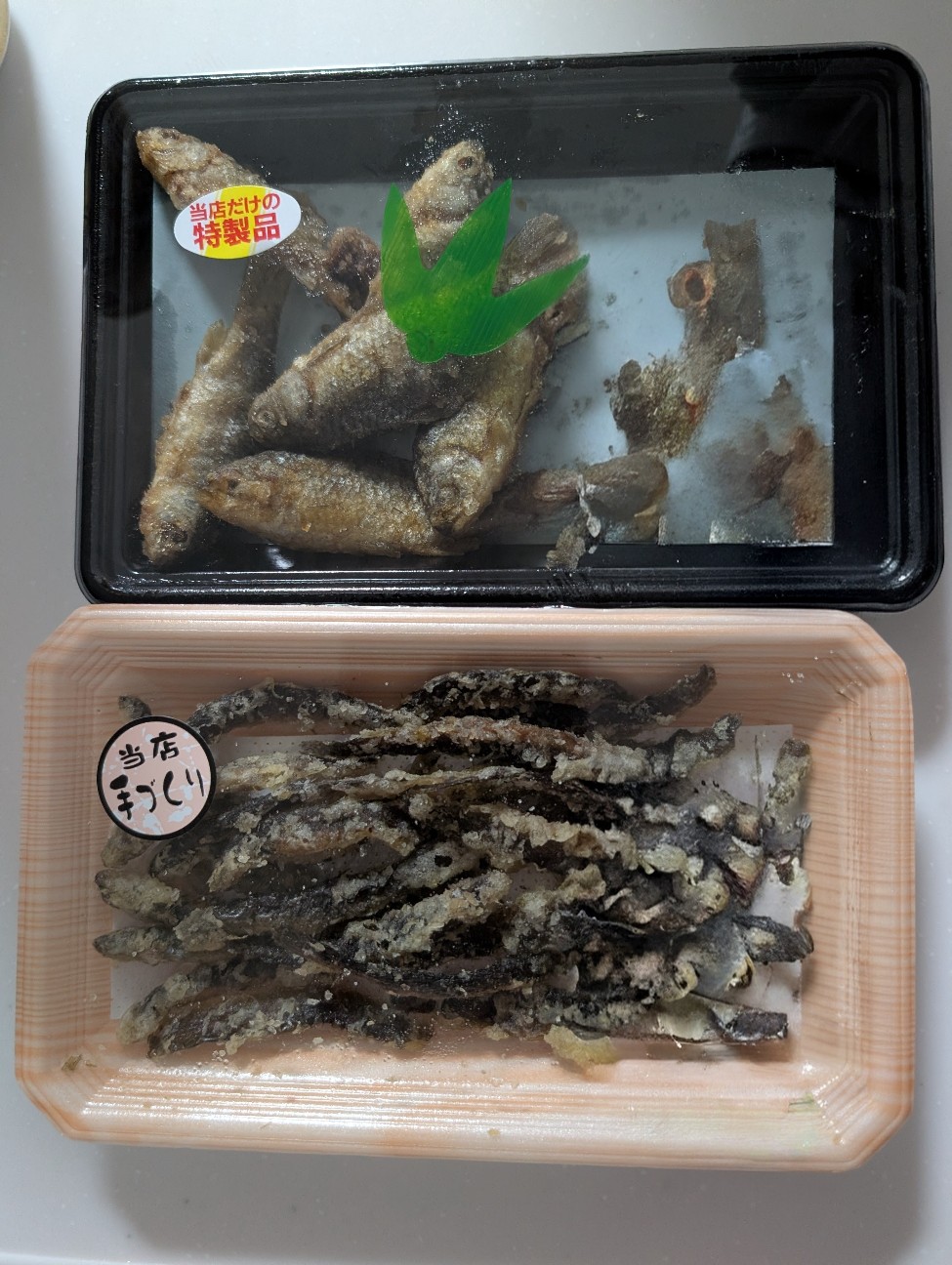 f:id:tetsuuma:20260302213317j:image