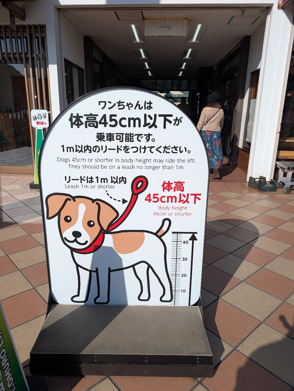 f:id:tetsuuma:20260305232910j:image