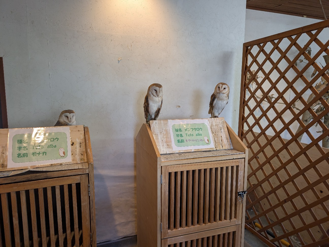f:id:tetsuuma:20260311211432j:image